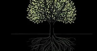 Discipline as a Foundation