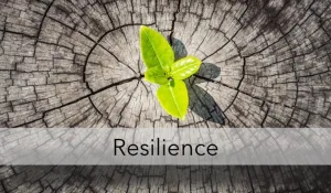 The Strength of Resilience