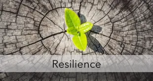The Strength of Resilience