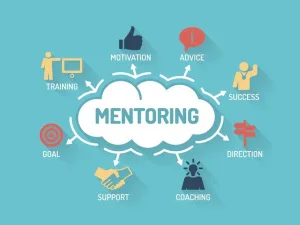 mentoring and training