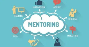 mentoring and training