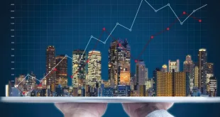 Real Estate Insights