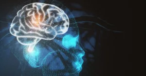 ImportanceofNervousSystem-5d8e1c - Who is Val Sklarov? Personal Blog and Promotional Page